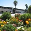Heritage Inn Express Roseville