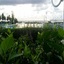 Bizerta Resort