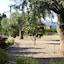 Hostatgeria De Poblet