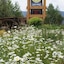 Flying Saddle Resort