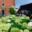 Le Manoir