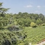 L'albereta, Relais & Chateaux