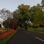Lake Lawn Resort