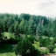 The Trailside Hotel
