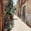 Riad Lauriers Blancs