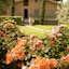 Tenuta Cusmano Villa Resort