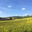 Parkhotel Schillerhain