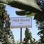 Wild Palms Hotel