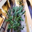 Apart Hotel Casa Grande