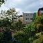 Rasta Hotel