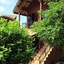 Wazzah Resort