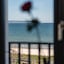 A-Rosa Collection Hotel Ceres Am Meer, Adults Only
