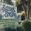Sarah's Seaside