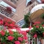 Hotel Firenze 3 S