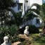 Princess Artemisia Hotel