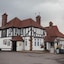 The Oak