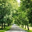 Sturmer Hall Hotel & Conference Centre