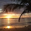 Tropical Sunset Beach Apartment Hotel