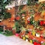 Hotel Livia