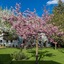 Residence Mitterdorfer