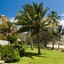 Rose Bay Resort