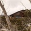 Duck Inn Mt Buller