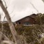 Duck Inn Mt Buller