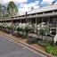 Golden Heritage Accommodation