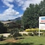 Bogong Moth Motel