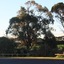 Mount Gambier International Motel