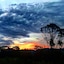 Amamoor Lodge