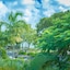 Noosa Outrigger Beach Resort