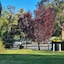 Mallacoota's Shady Gully Caravan Park