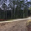 Alaya Verde