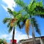 Alborada Hotel Melgar