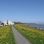 Seehotel Neue Liebe