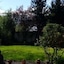 Wald-Hotel