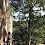Altos De Caño Hondo