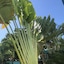 NEW GARDEN LUNA SIDE APART HOTEL