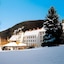 Waldhotel Berghof