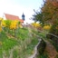 Hotel Am Torturm