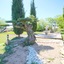 Hotel Hacienda Mendoza