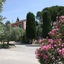 Le Madaleno