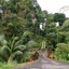 Villas De Oros