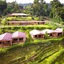 Nepenthe B&B