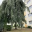 Airport Apartment Köln Bonn