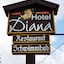 Hotel Diana Feldberg