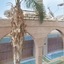 Herods Vitalis Spa Hotel Eilat A Premium Collection By Fattal Hotels