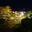 Momijiya Of Takao Kyoto