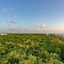 The Landmark Of Cozumel